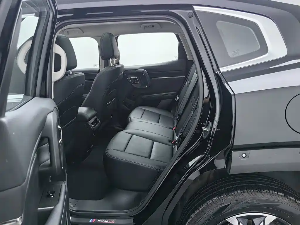 Haval Big Dog PLUS — миниатюра 15