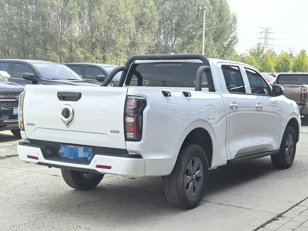 Great Wall Pao — миниатюра 5