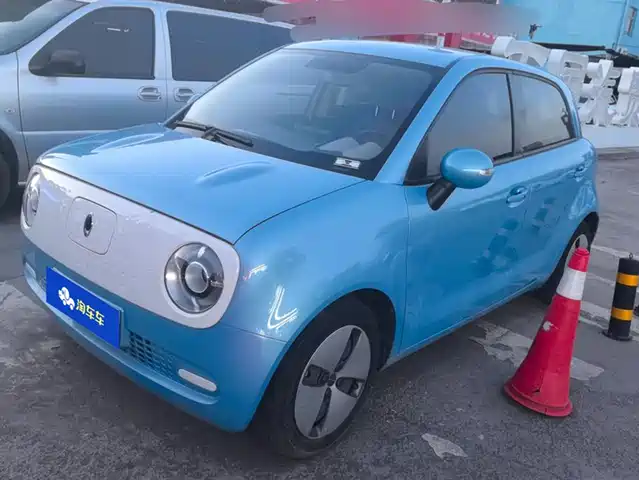 EULER  BLACK CAT 2019