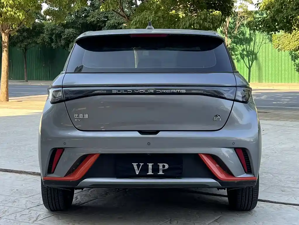 BYD Dolphin 2021 405km Fashion
