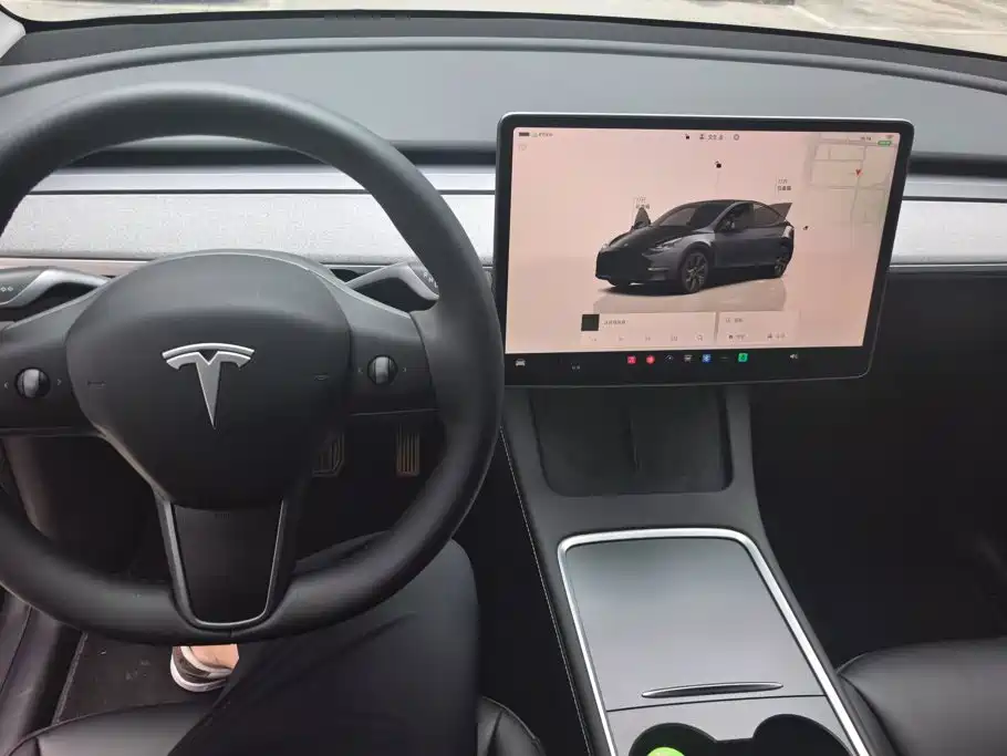 Tesla Model Y — миниатюра 12