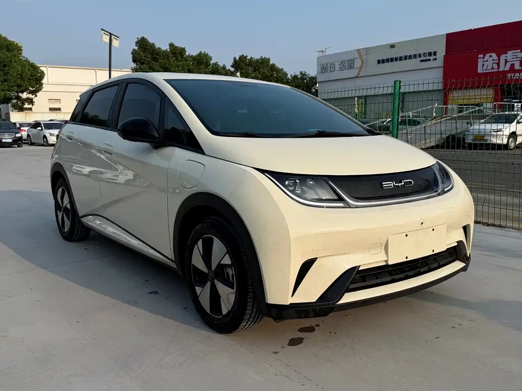 BYD Dolphin — миниатюра 2