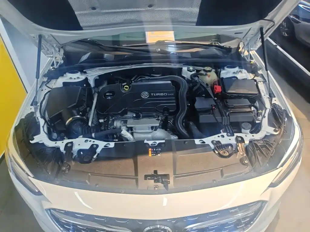 Buick Regal — миниатюра 20