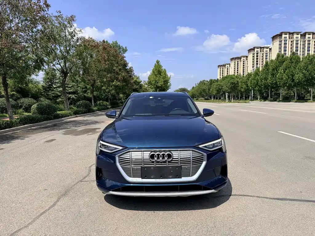 Audi e-tron (Import) — миниатюра 2