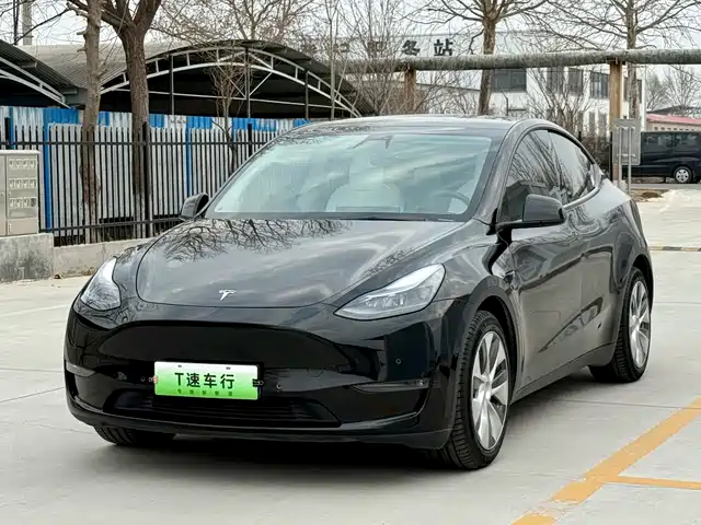 TESLA MODEL Y 2021