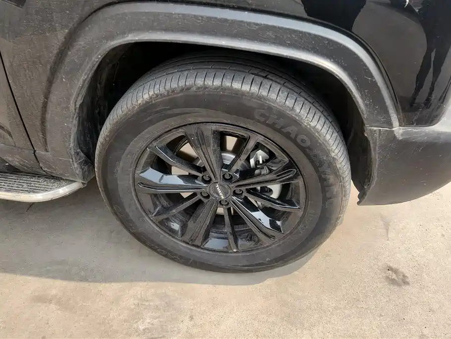 HAVAL RAPTORS NEW ENERGY