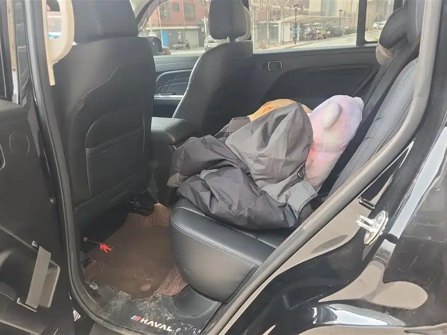 HAVAL RAPTORS NEW ENERGY