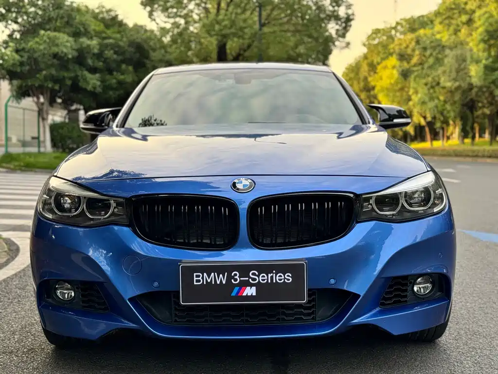 BMW 3 Series GT 330i xDrive M Sport Type, фото 2