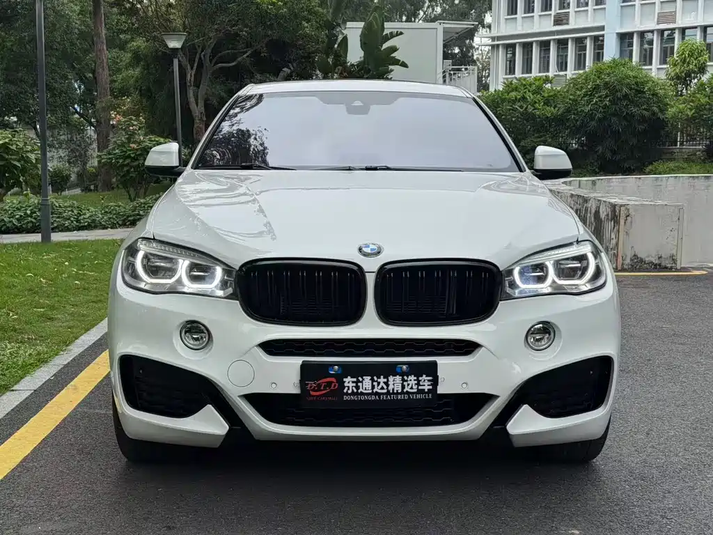 BMW X6 2019 xDrive35i M Sport