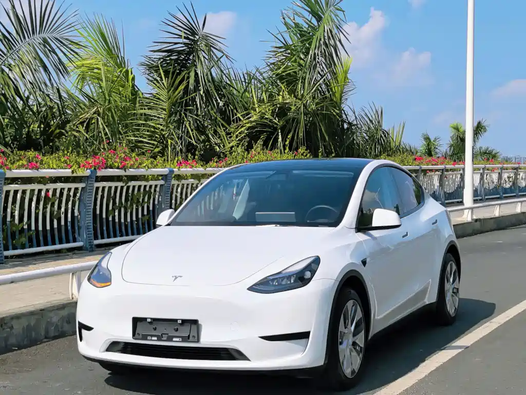 Tesla Model Y — миниатюра 3