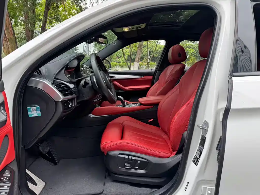 BMW X6 2019 xDrive35i M Sport