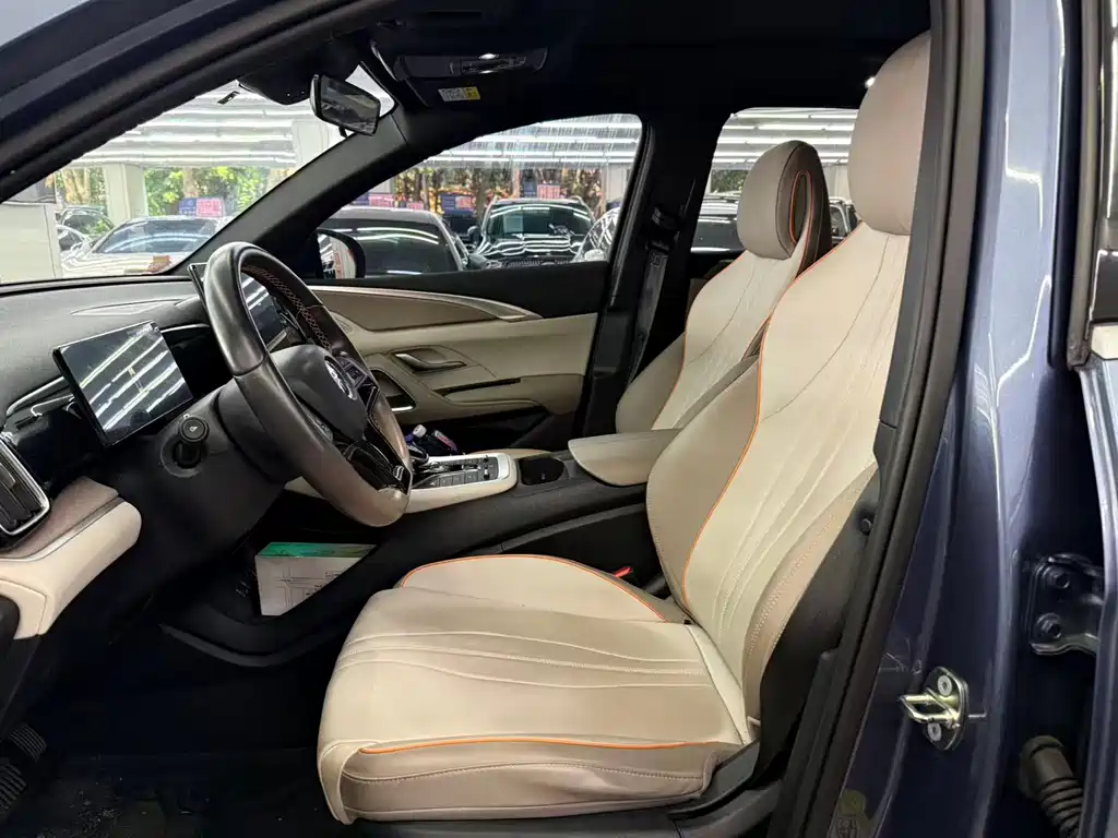 BYD Pro New Energy — миниатюра 10