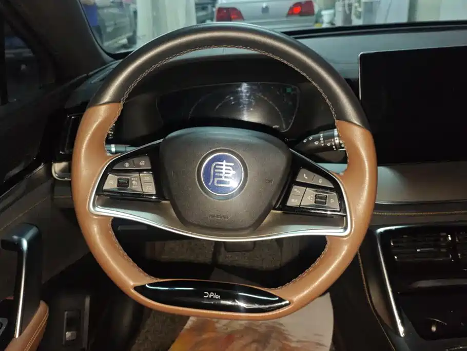 BYD Tang New Energy — миниатюра 15