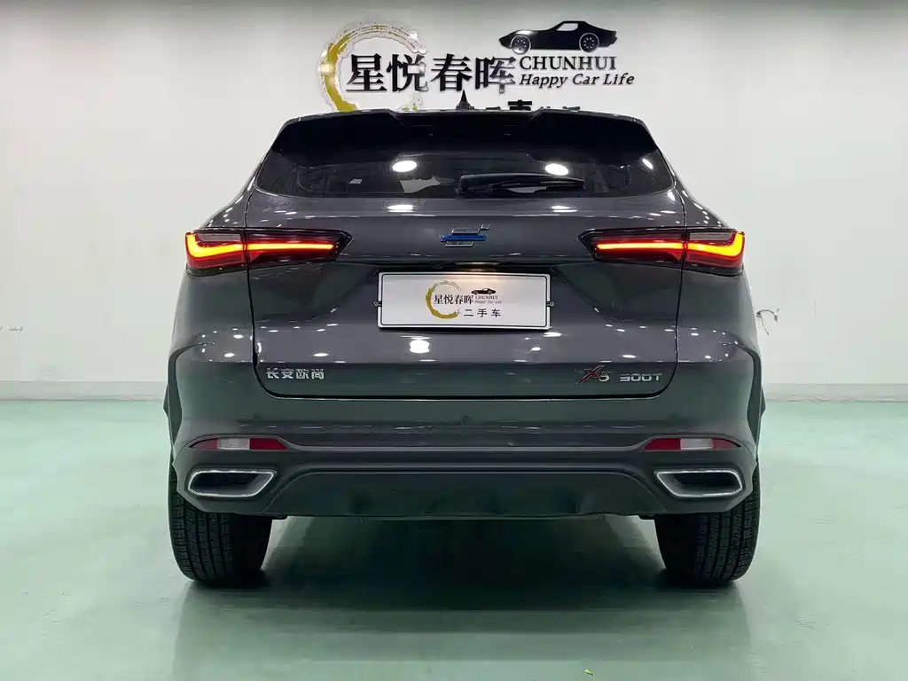 Oshan Oushang X5 — миниатюра 8
