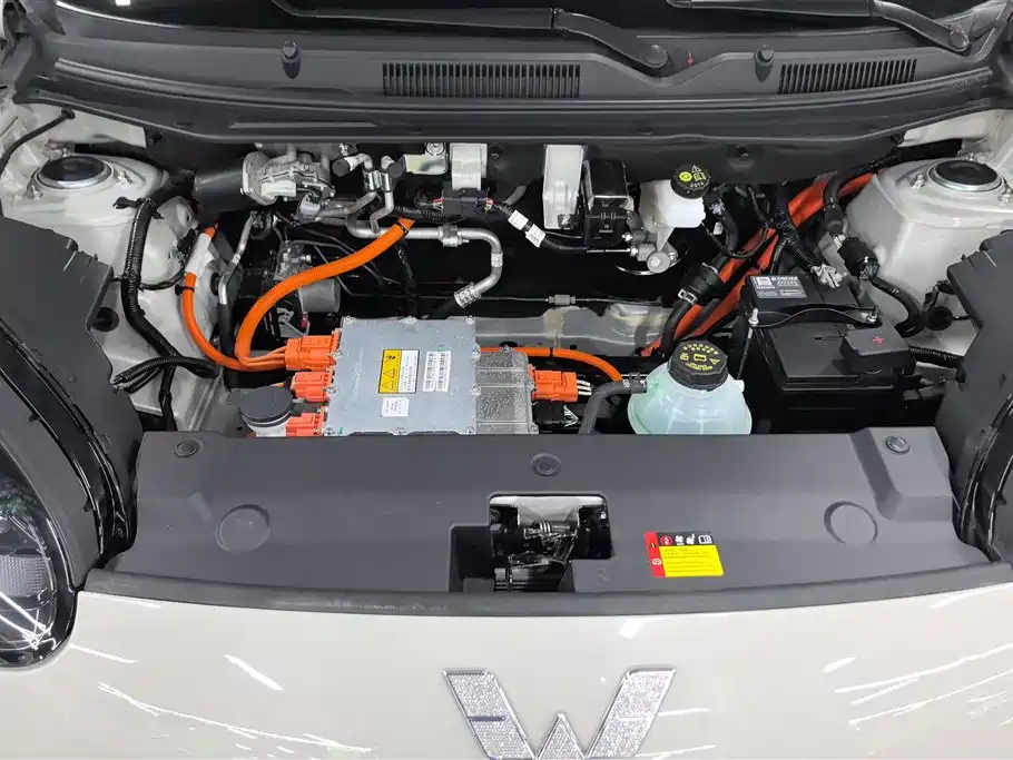 Wuling Binguo 2024 333km Enjoy