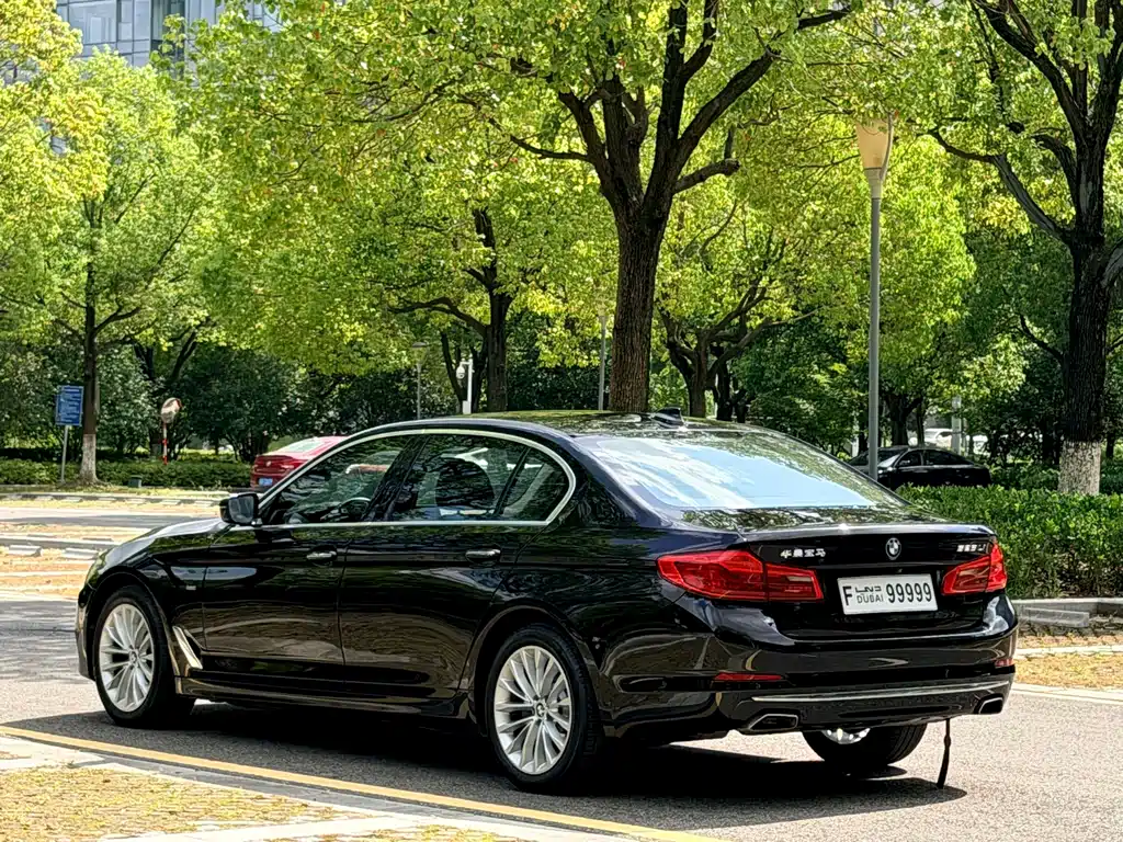 BMW 5 Series — миниатюра 5