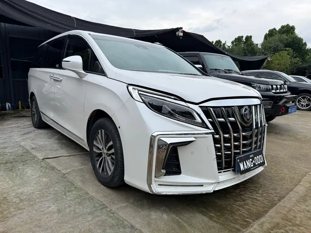 Купить Buick GL8