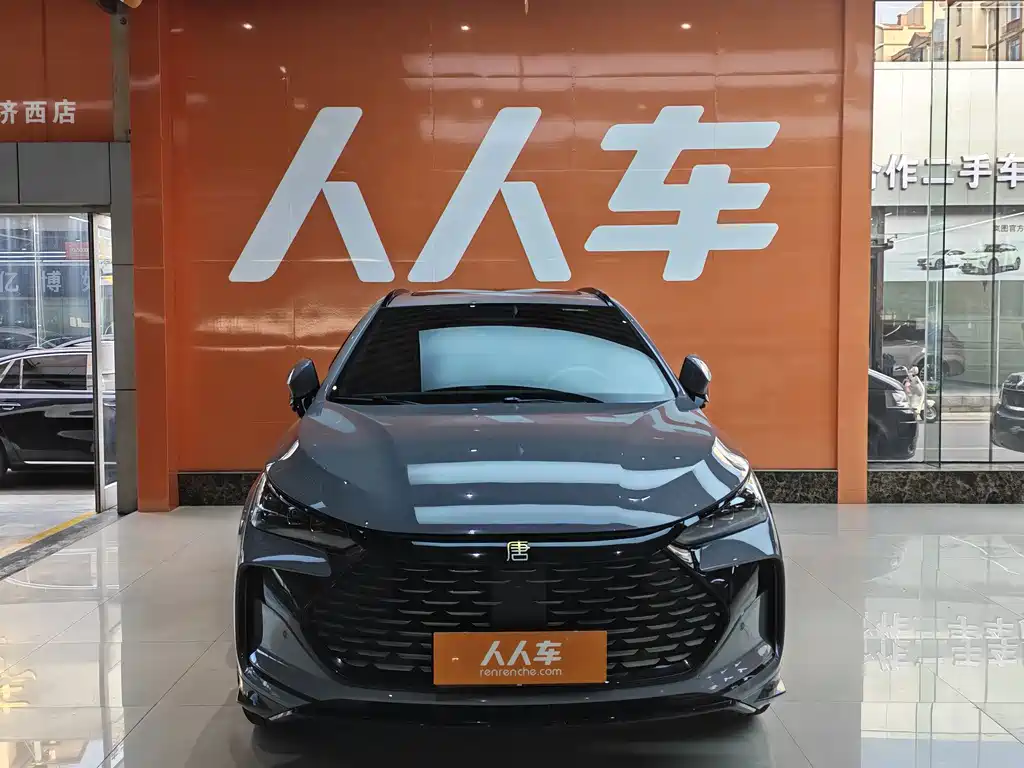BYD Tang New Energy — миниатюра 2