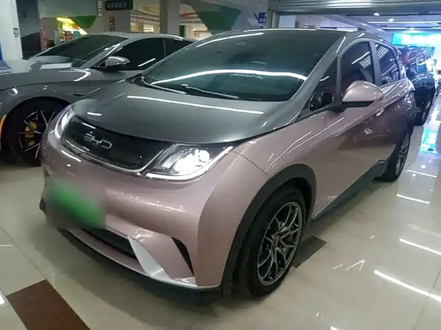 2021 BYD Dolphin