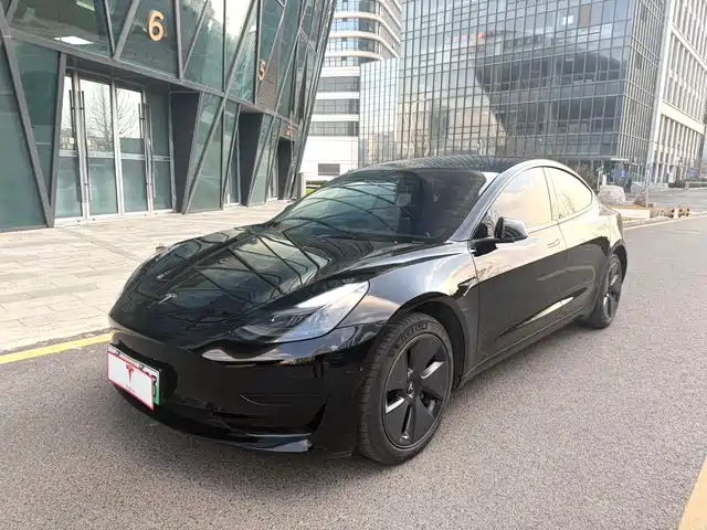 TESLA MODEL 3 2021