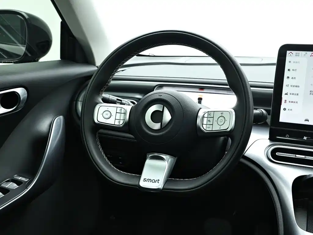 smart Smart #1 — миниатюра 16