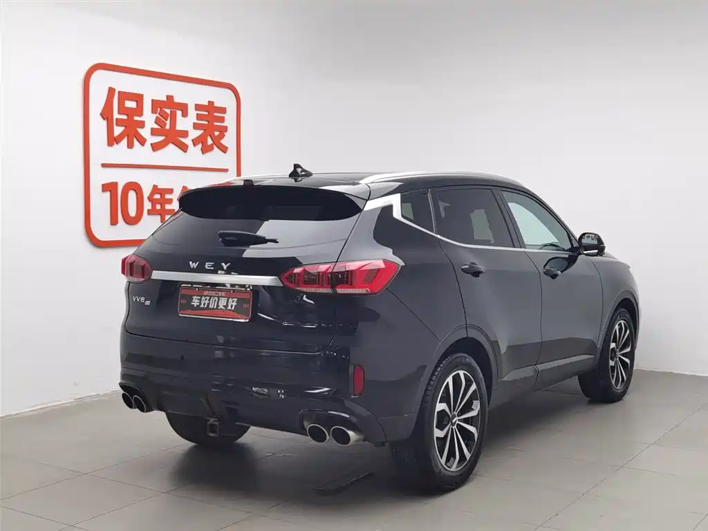 WEI PAI WEI BRAND VV6