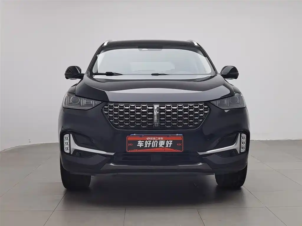 WEI PAI WEI BRAND VV6