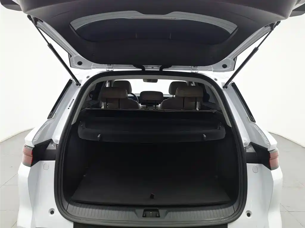 BYD SONGJIANG NEW ENERGY