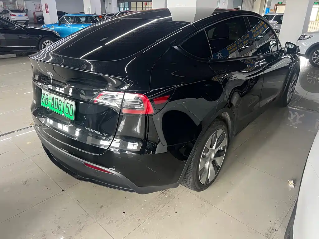 Tesla Model Y — миниатюра 9