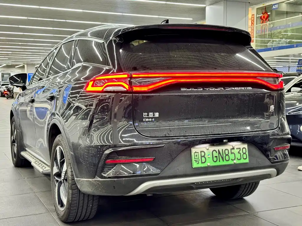BYD Tang New Energy — миниатюра 11