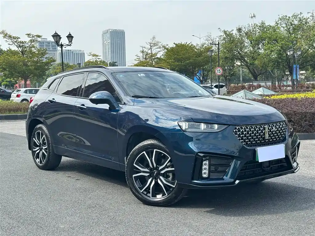 WEI PAI WEI BRAND VV7 NEW ENERGY