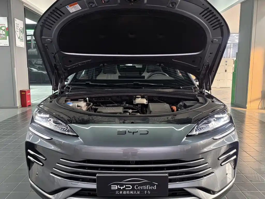 BYD SONGJIANG NEW ENERGY