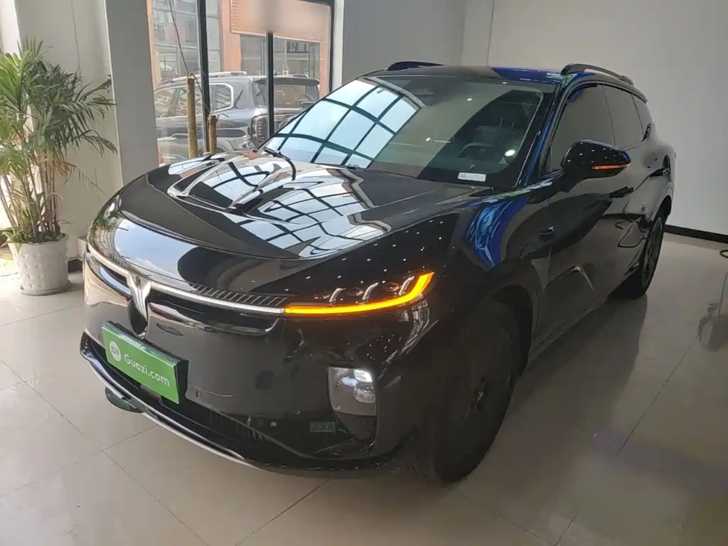 Voyah Wisdom Sound 2024 Long Range Smart Edition