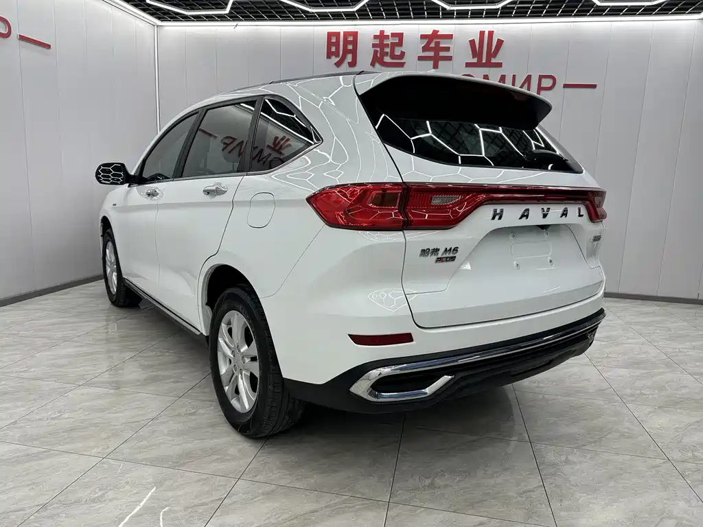 HAVAL M6