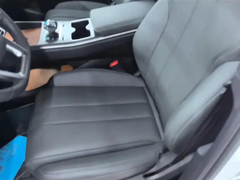 BYD SONGJIANG NEW ENERGY