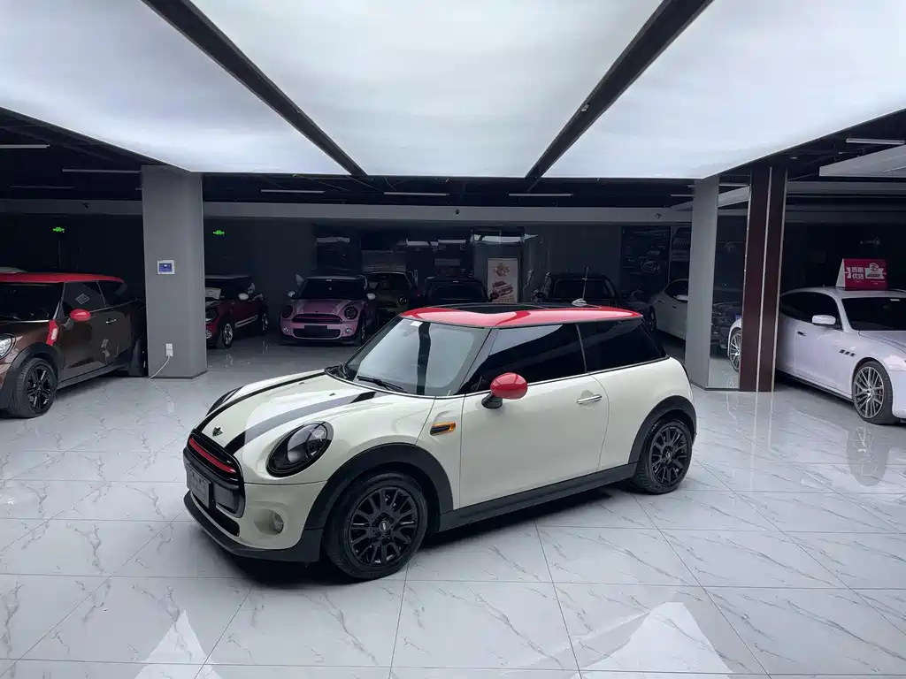 Mini Mini 2016