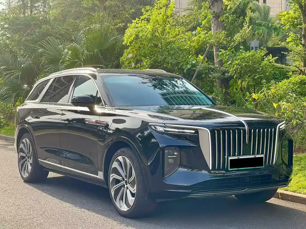 Hongqi Hongqi E-HS9 — миниатюра 3