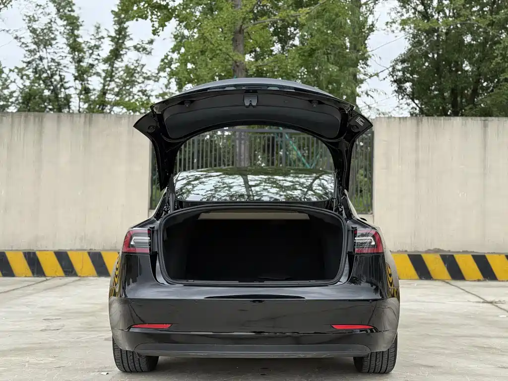 Tesla Model 3 2021 3D1