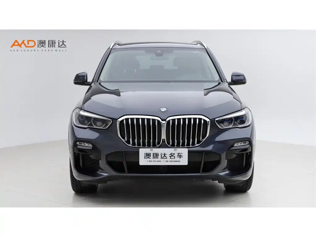 BMW X5 (Import) — миниатюра 2