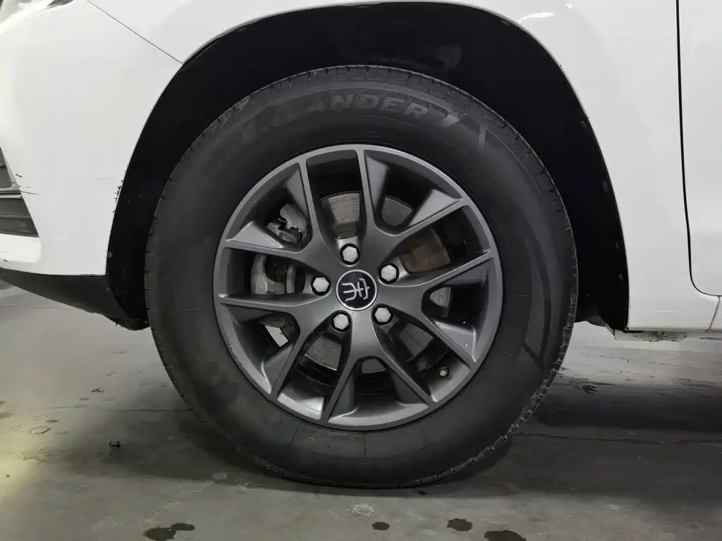BYD Song — миниатюра 17