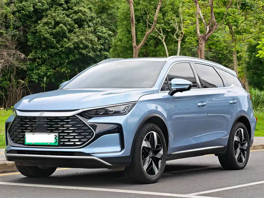 Byd Tang New Energy 2024