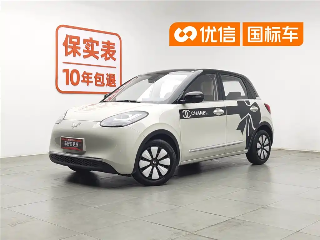 五菱缤果 2023款 203km 舒享款
