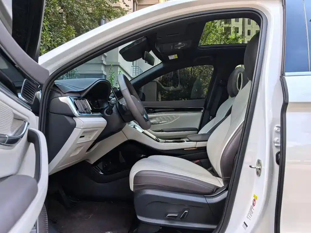 BYD SONGJIANG NEW ENERGY