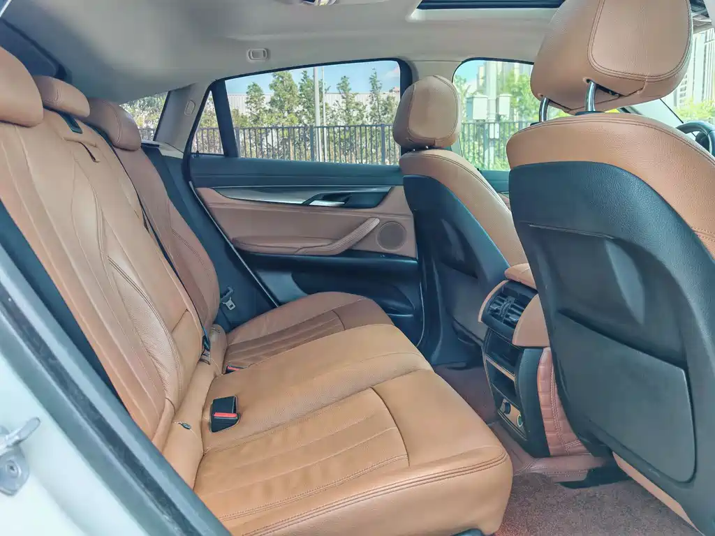 BMW X6 xDrive35i Leading Type, фото 18