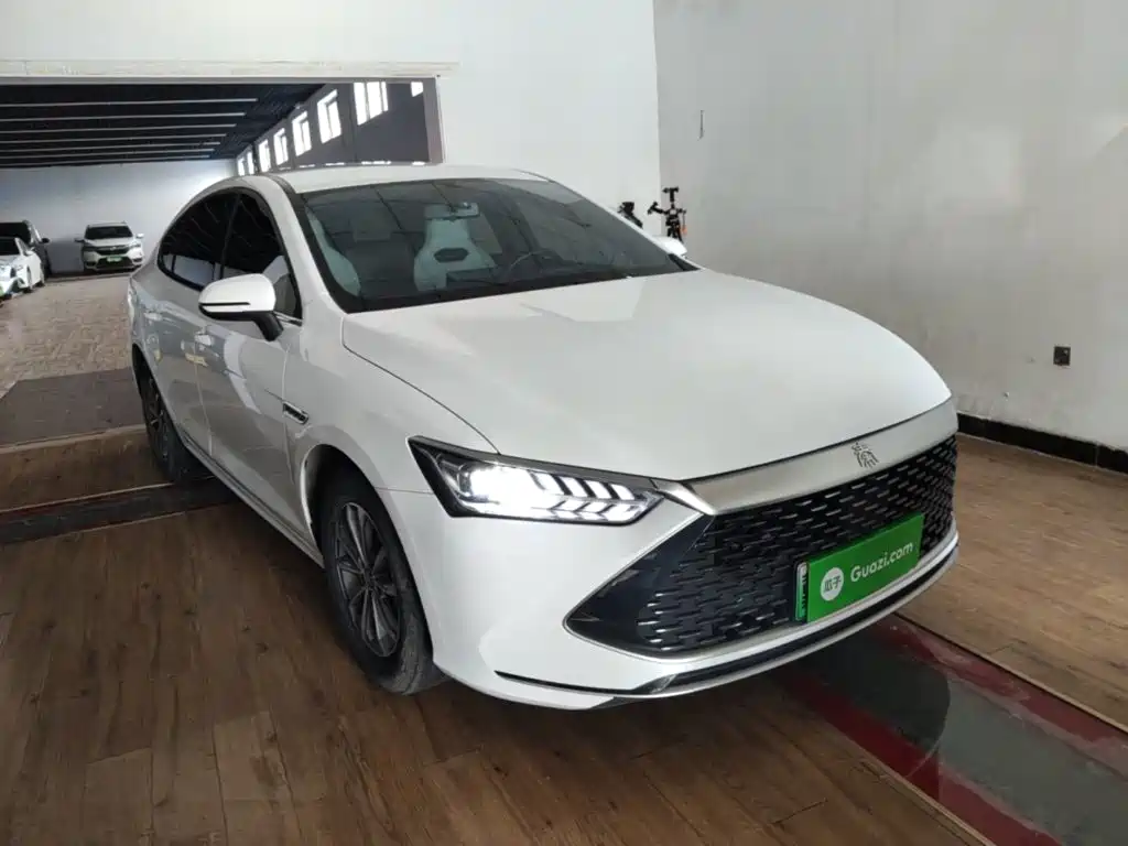 BYD Qin Plus PLUS 2024 DM-i 55KM Lead