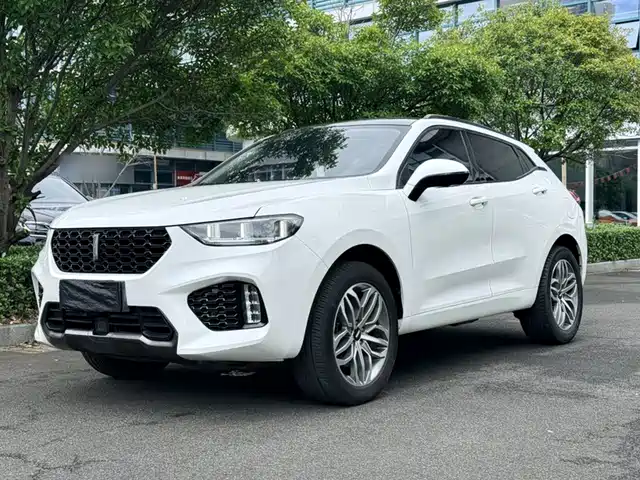 2018 Wey VV5