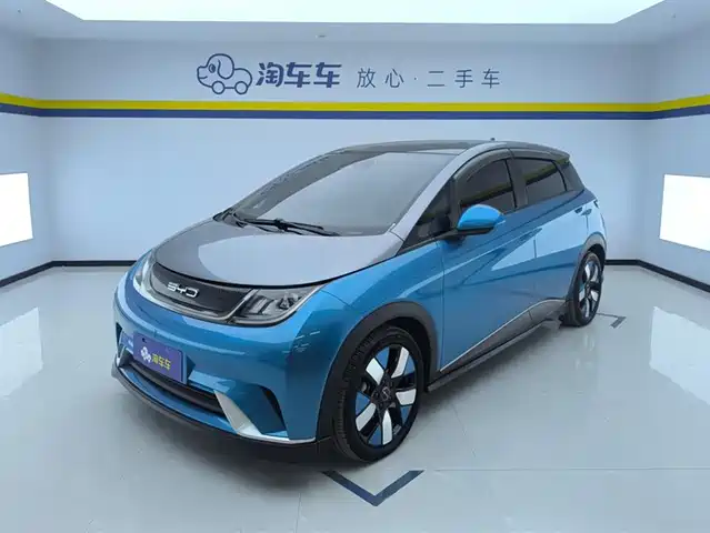 2022 BYD Dolphin