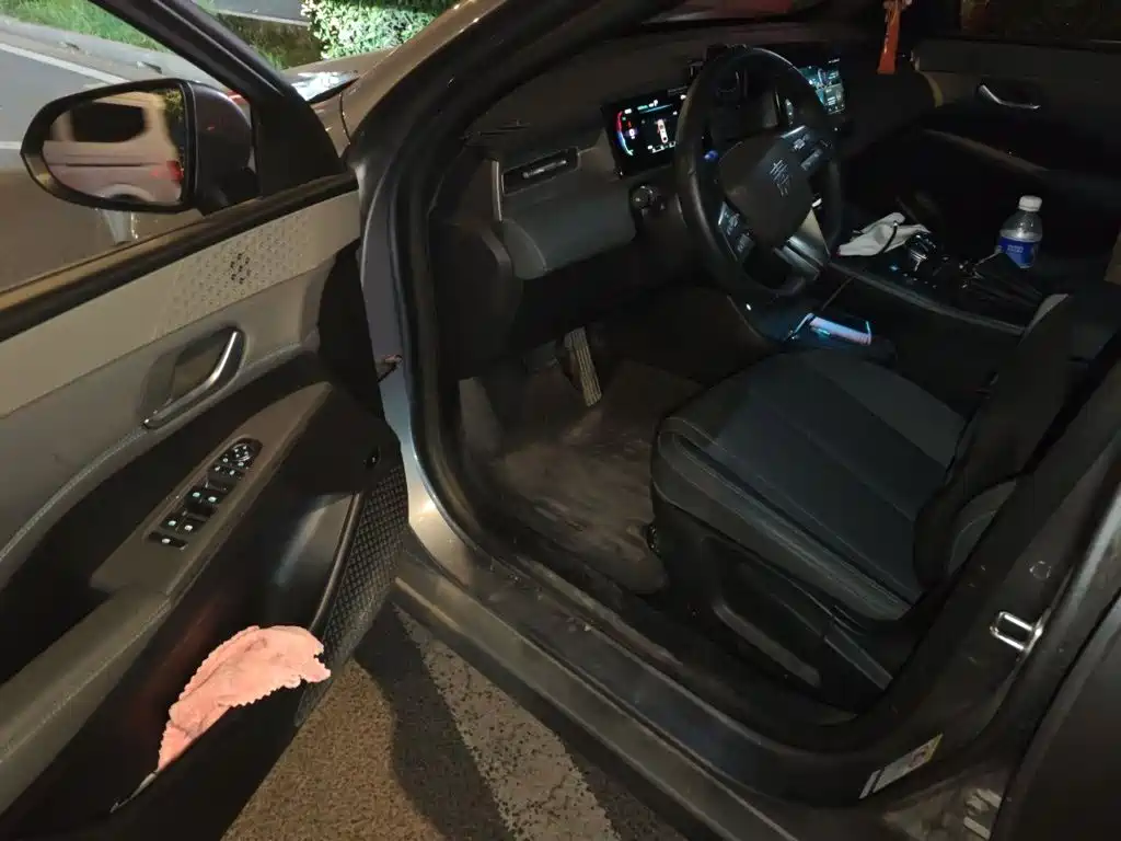 BYD Qin PLUS — миниатюра 12