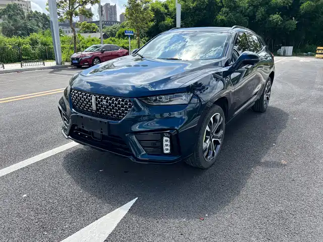 2020 Wey VV7