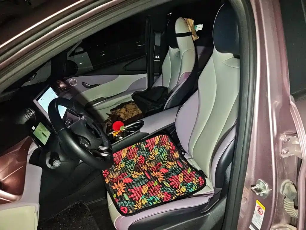 BYD Dolphin — миниатюра 11